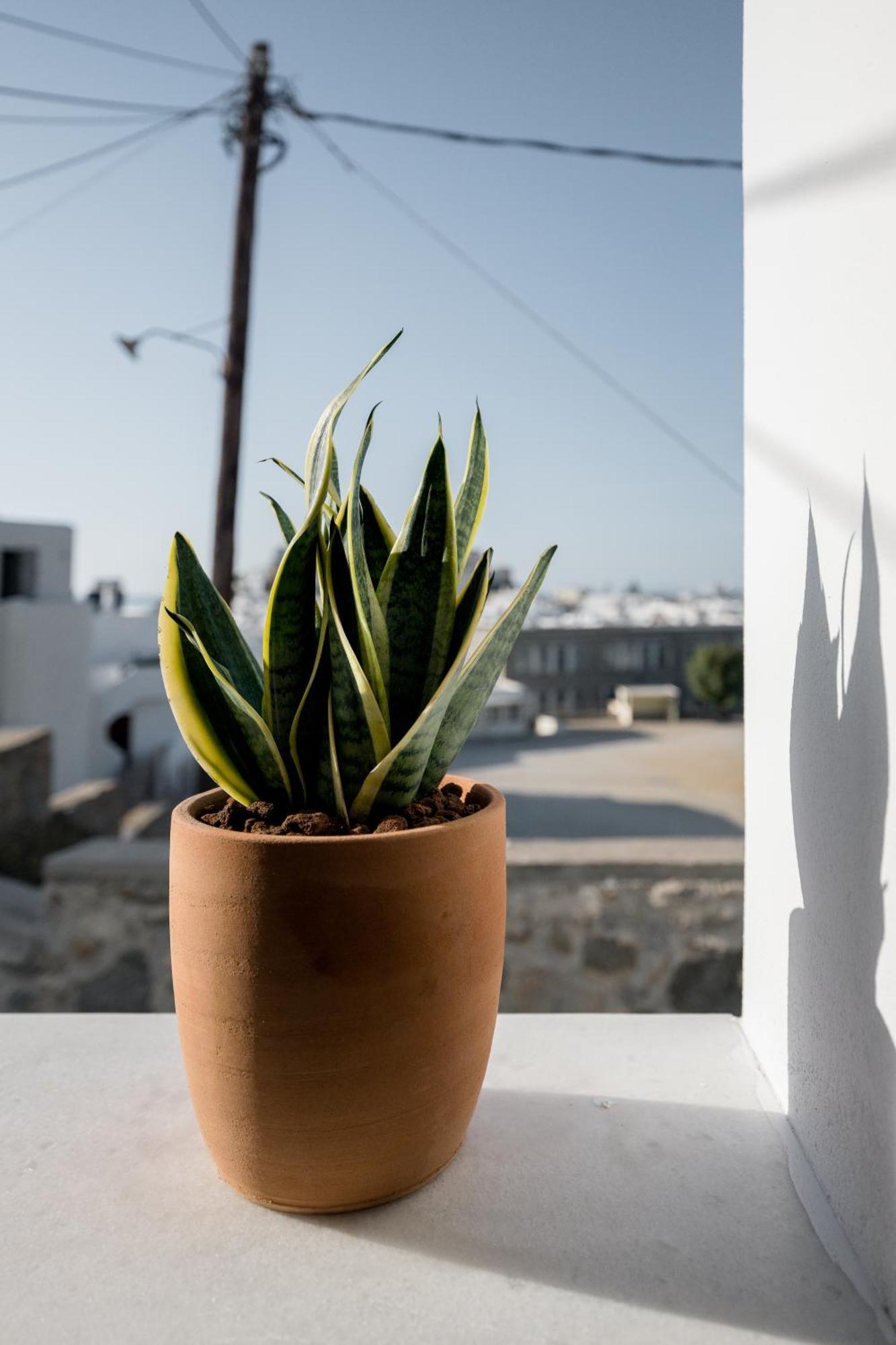 37 2 Heaven Lejlighed Naxos City Eksteriør billede